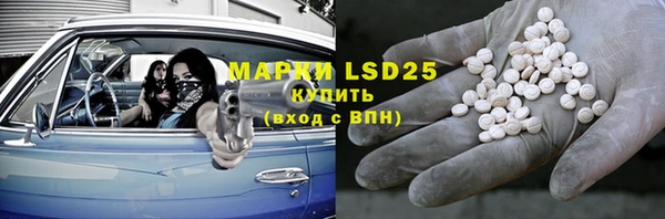 прущие грибы Лабытнанги