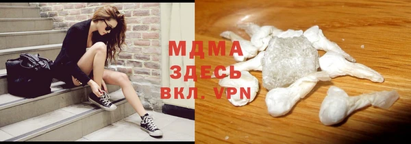 прущие грибы Лабытнанги