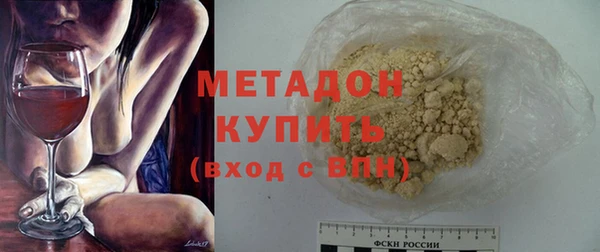 прущие грибы Лабытнанги