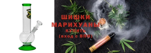 бошки Ладушкин