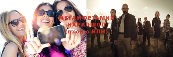 прущие грибы Лабытнанги