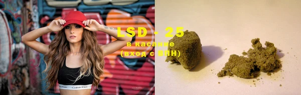 прущие грибы Лабытнанги