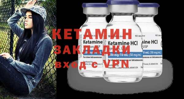 прущие грибы Лабытнанги