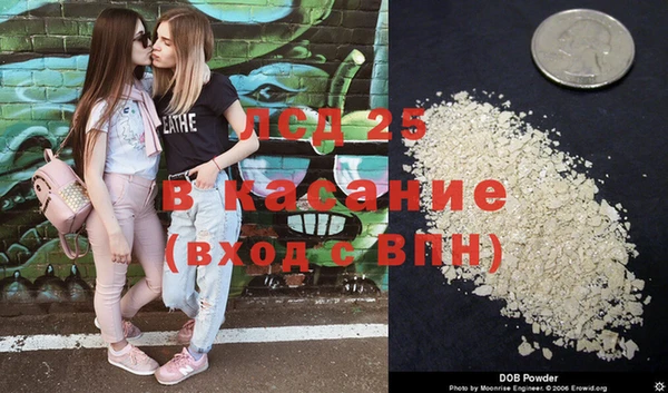 бошки Ладушкин