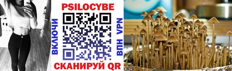 блэк спрут вход  цена наркотик  Красноармейск  Галлюциногенные грибы Cubensis 
