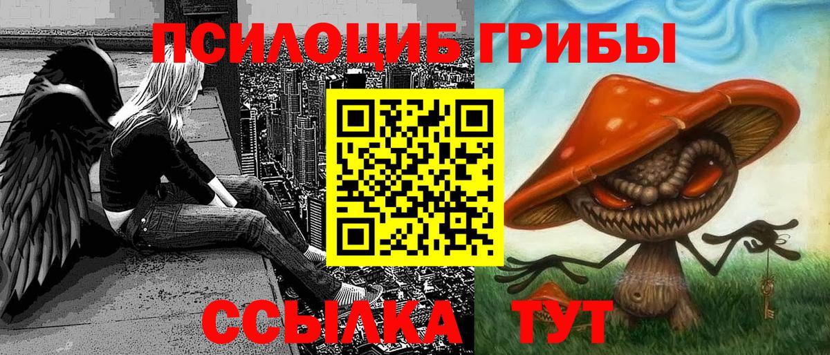 Псилоцибиновые грибы Psilocybine cubensis  Псилоцибиновые грибы мухоморы  хочу   Красноармейск 