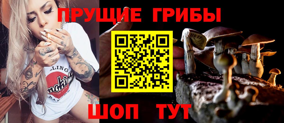 Красноармейск  Галлюциногенные грибы мухоморы  Вход с VPN 