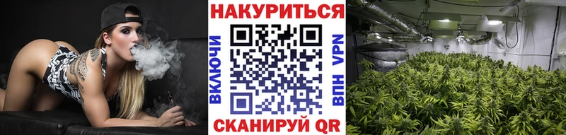 Бошки Шишки VHQ  закладка  Красноармейск 